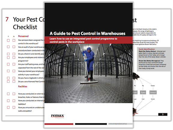 A Guide to Pest Control in Warehouses